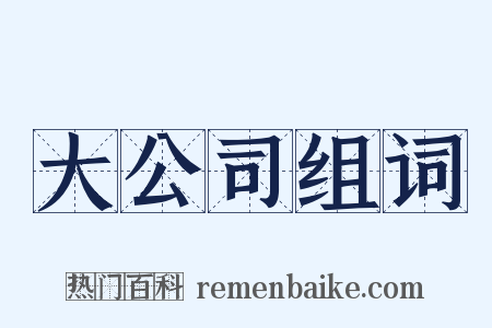 大公司组词是什么意思的图片
